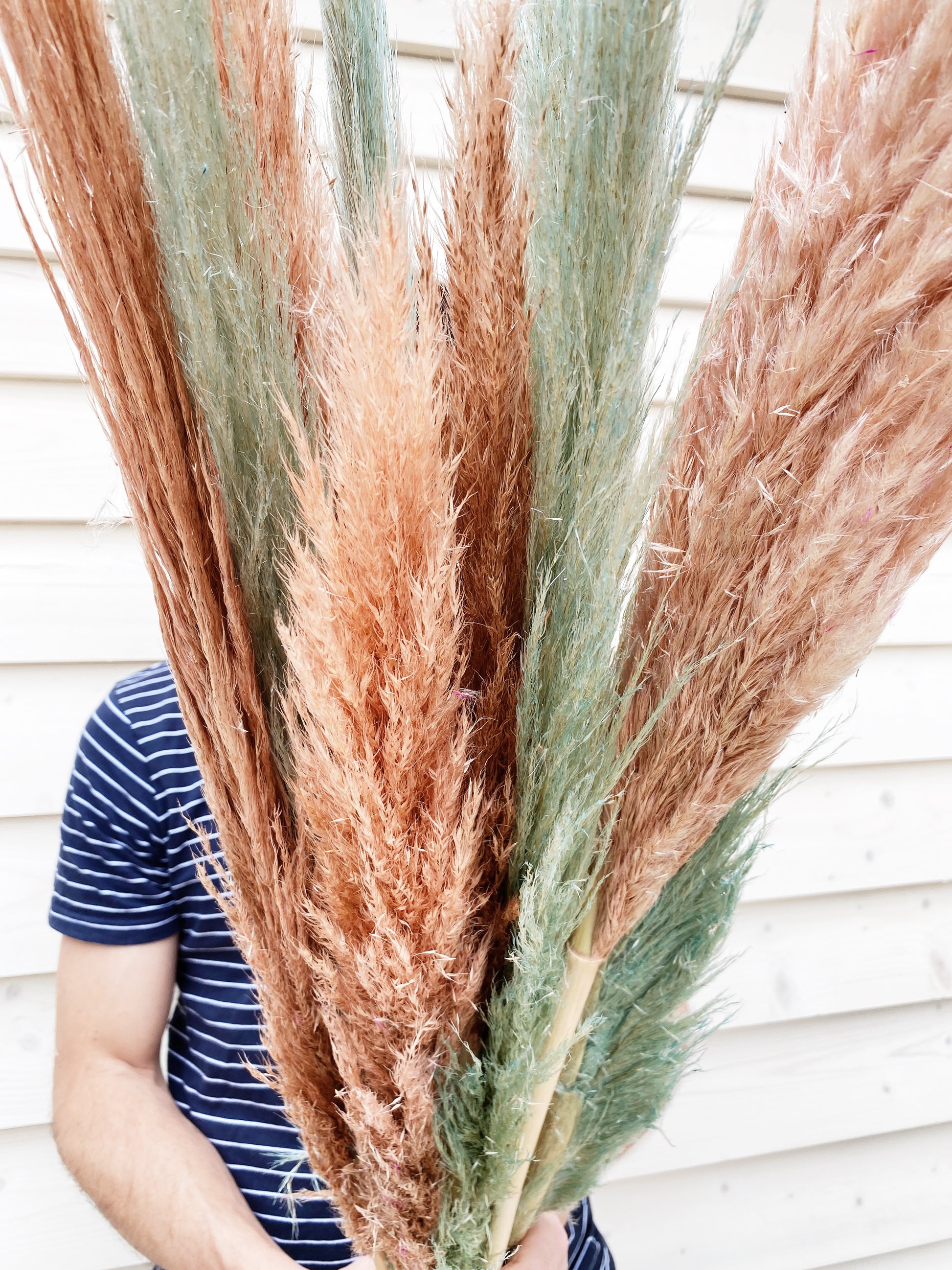 colorful pampas bundle