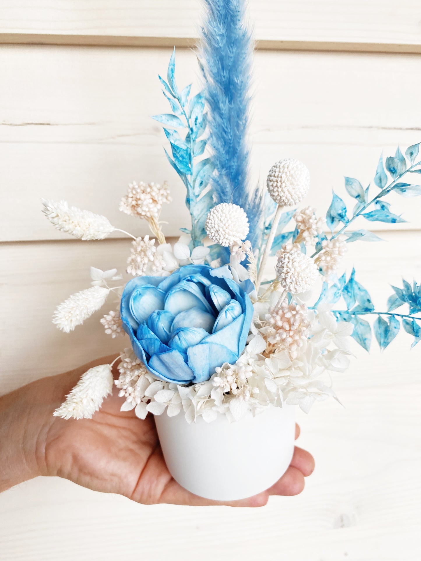 Mini Dried Arrangement - Baby Blue